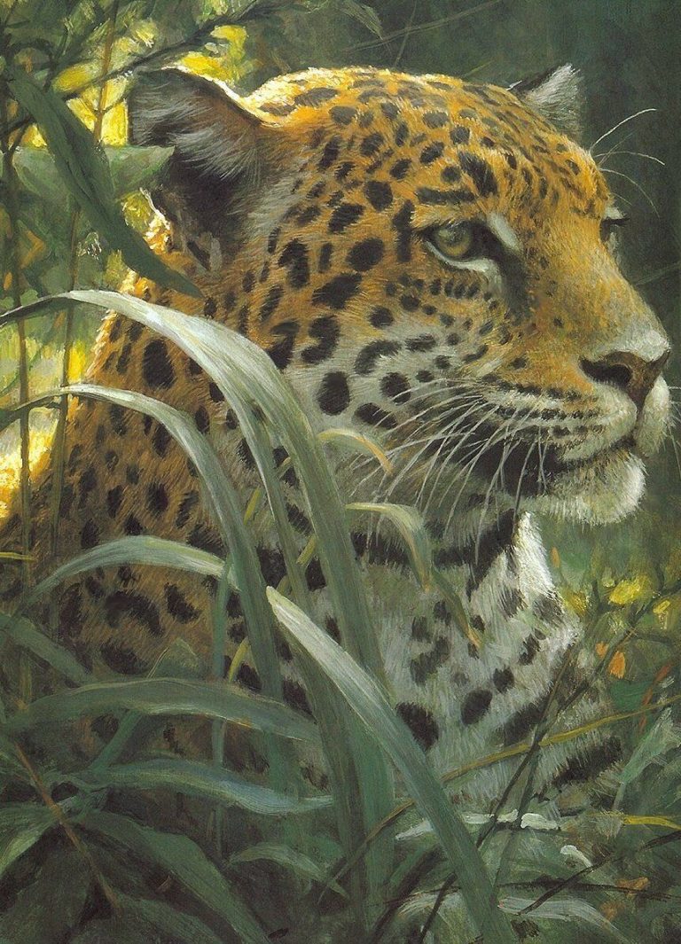 Créez une peinture de singe avec cet ensemble de peinture acrylique facile à suivre Créez une peinture de singe avec cet ensemble de peinture acrylique facile à suivre